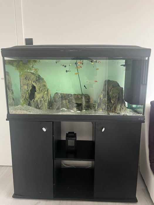 Acvariu Ferplast 250L complet echipat + dulap, pesti, accesorii