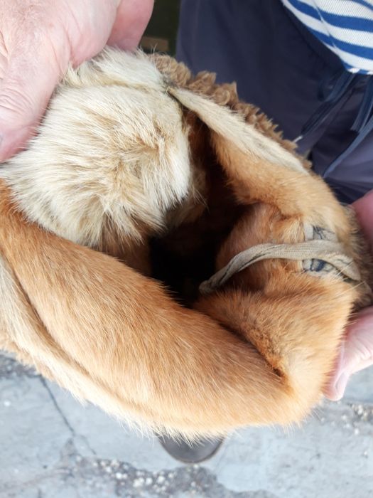 Оригинальные унты .