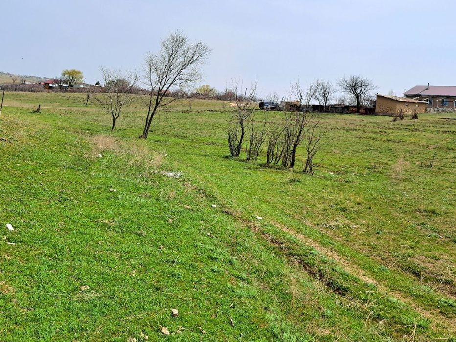 Участок 10 соток