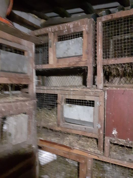 Продам клетки для кроликов.