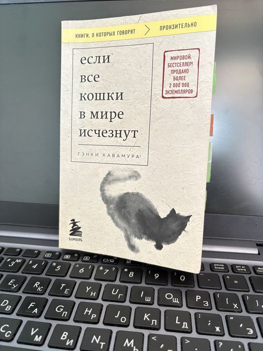 Если все кошки в мире исчезнут