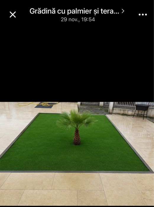 Gazon Rulou sport/rustic