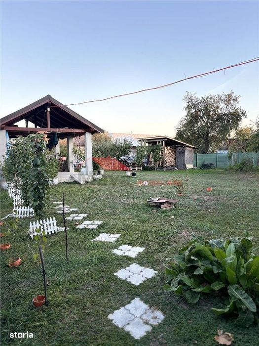 Casa D+P+M, Cociu