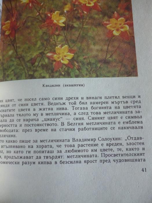 Дъга от цветя - Евгения Черней, Леонила Ширева