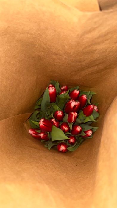 Тюльпаны Крупныые