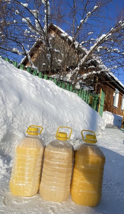 Продам мёд из ВКО. БАЛ.