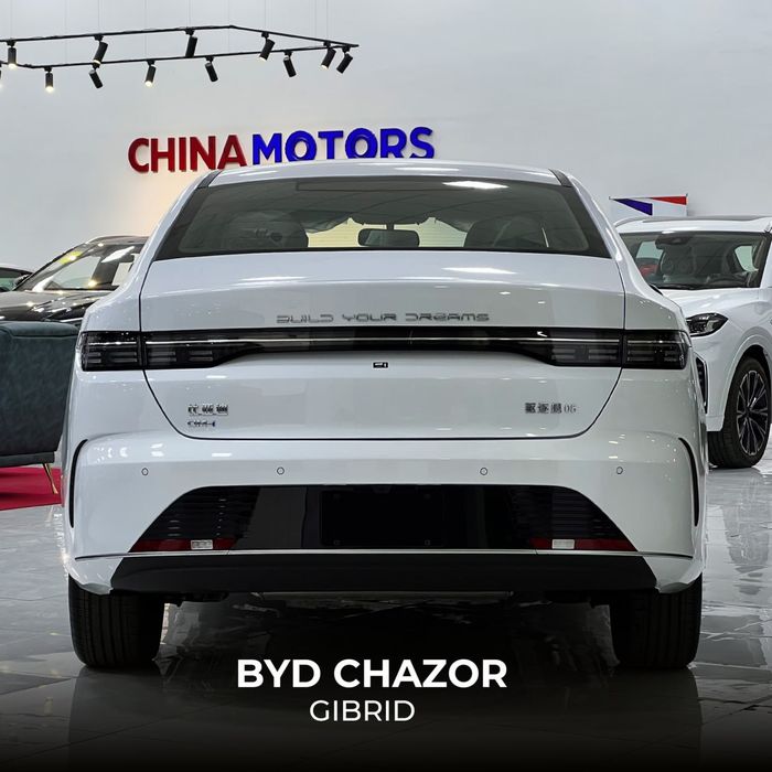 Byd chazor 101km