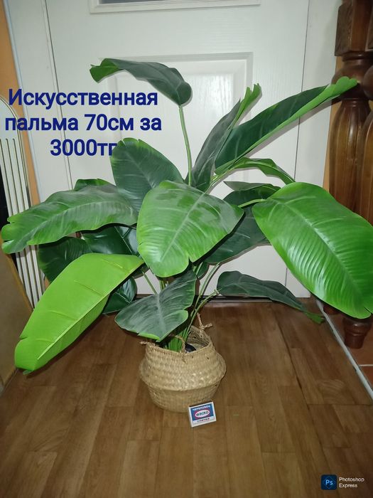 Искусственные растения . Цветы . Выбираем