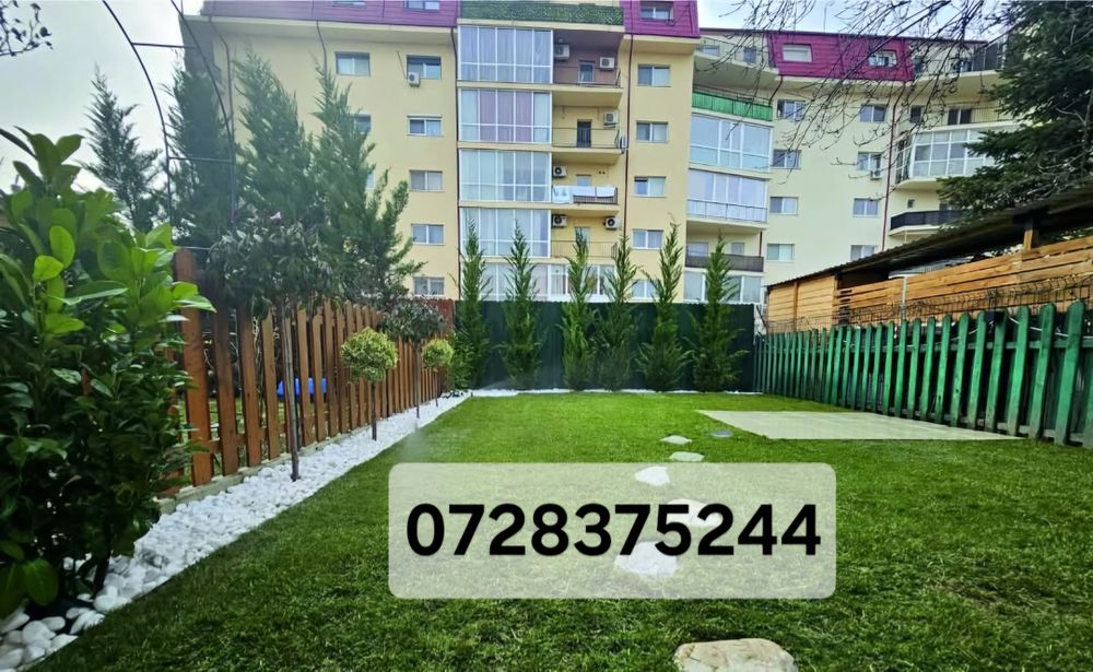 Leylandii chipaross amenajări grădini