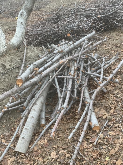 O’tin sotiladi narxini kelishamiz