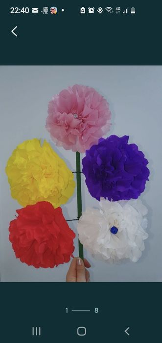 Sorcove lucrate manual