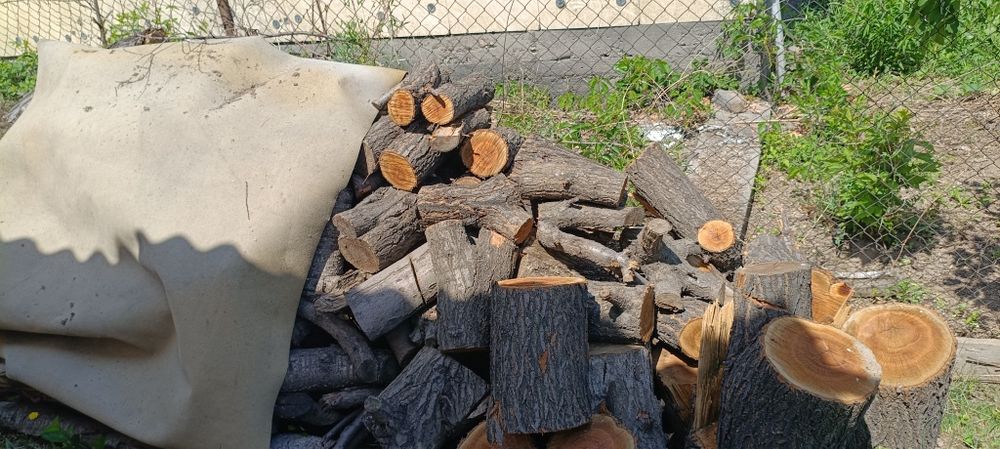 Дрова самовывоз бесплатно мкр дархан