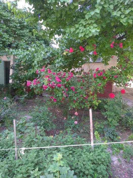 Город Ферагана улица А.Навоий дом 94 квартира 52.