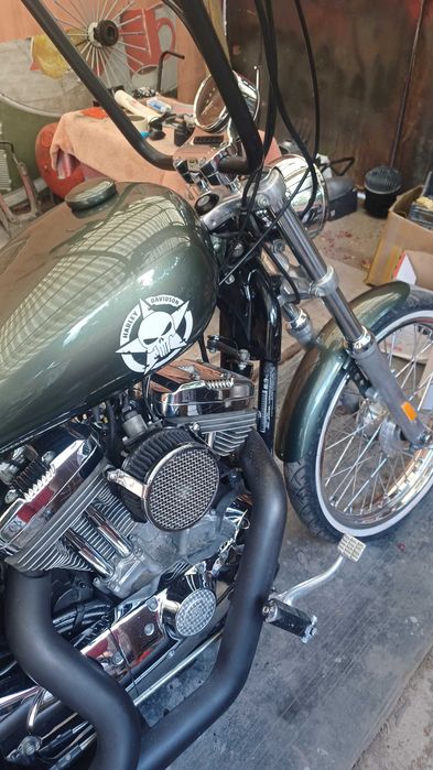 Harley davidson softail