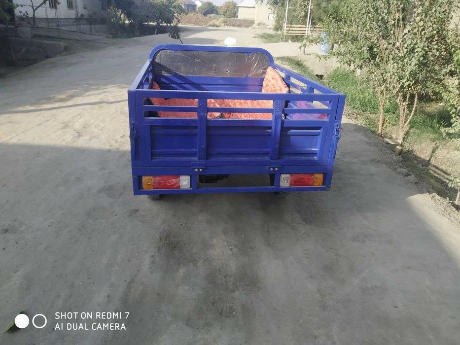 Электра муравей ҳолати янги.