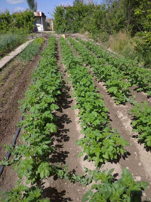 Продается дача срочно