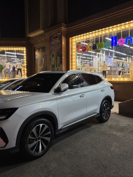 Byd champion song plus full 605