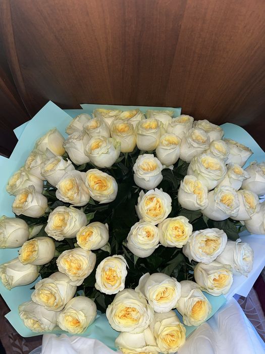 Гүл 61 шт кентауда алам дегендері