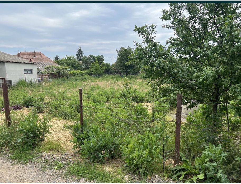 Vând teren intravilan central in Nazna.     Informatii la telefon