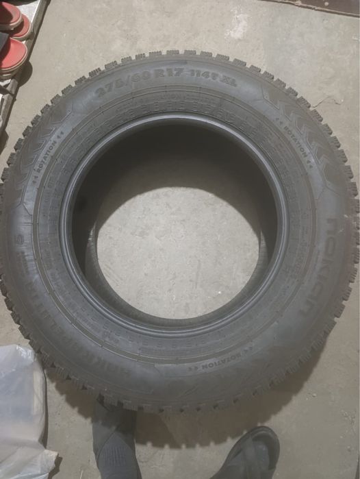 Шины зимние Nokian