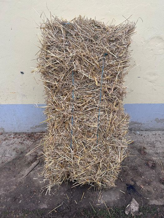 Baloţi de paie 2025