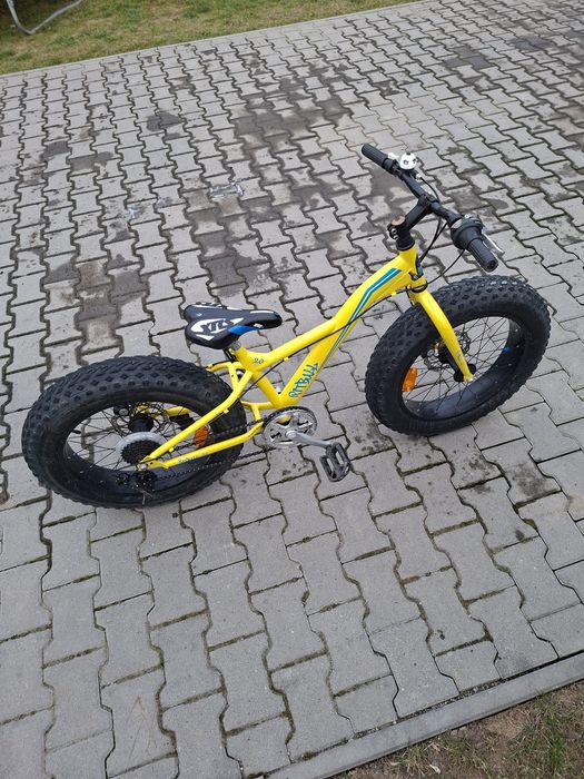 Bicicleta fat  bike