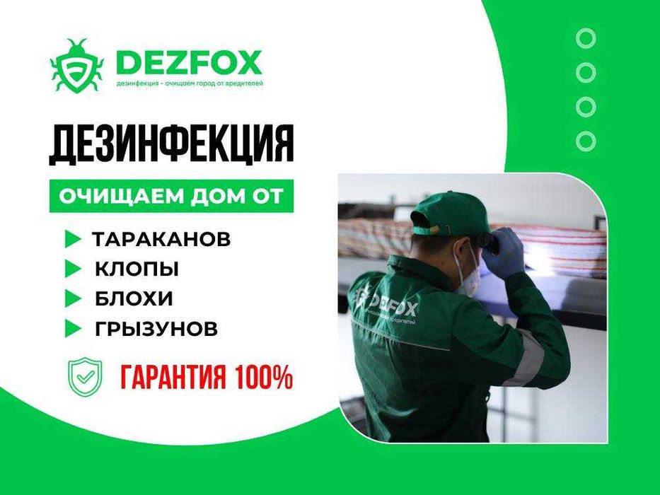Уничтожение Клопов Тараканов Крыс Мышей Блохи Дезинфексия Дезинсекция