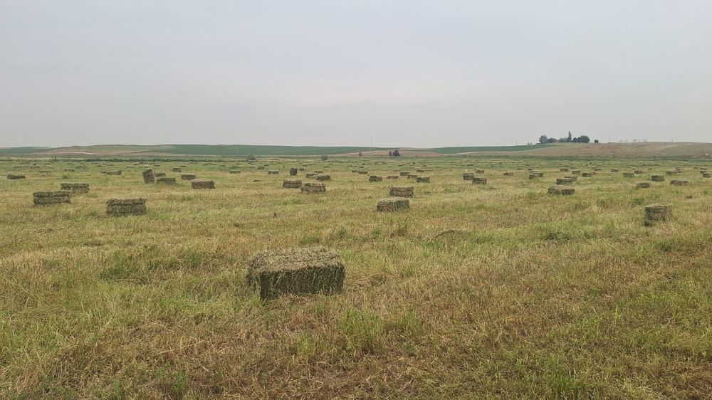 Жонышка пресс , бірінші орым