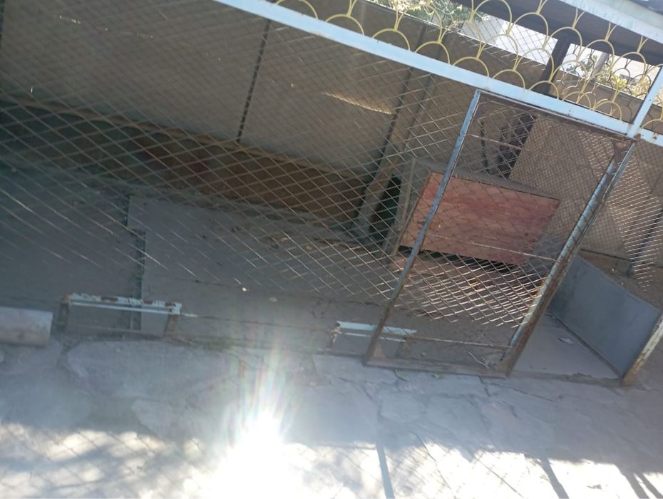 Продам вольер с будкой для собаки