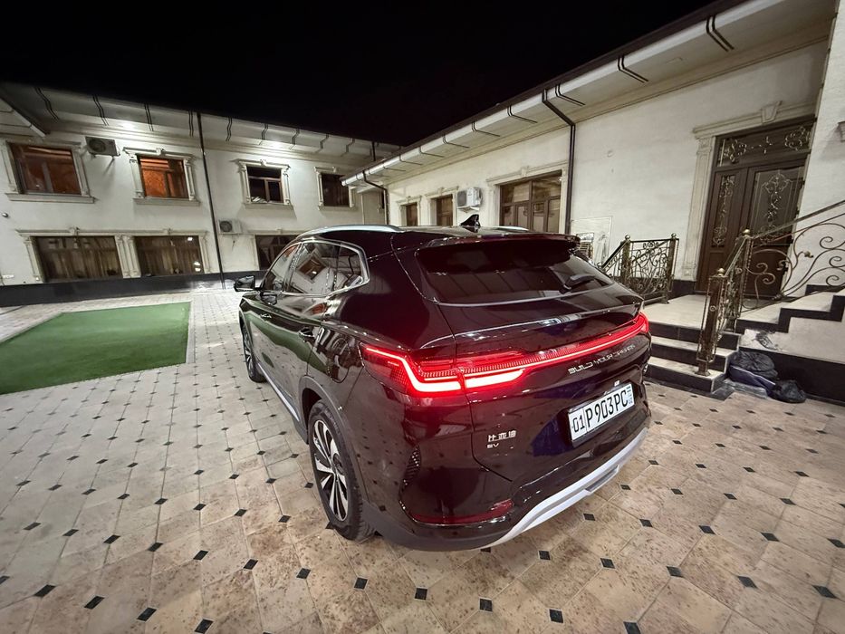 BYD song plus chempion