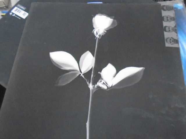 винил  пластинка  Depeche Mode – Violator Depeche Mode