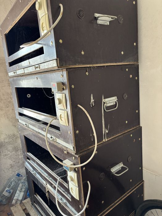 брудер для куриц