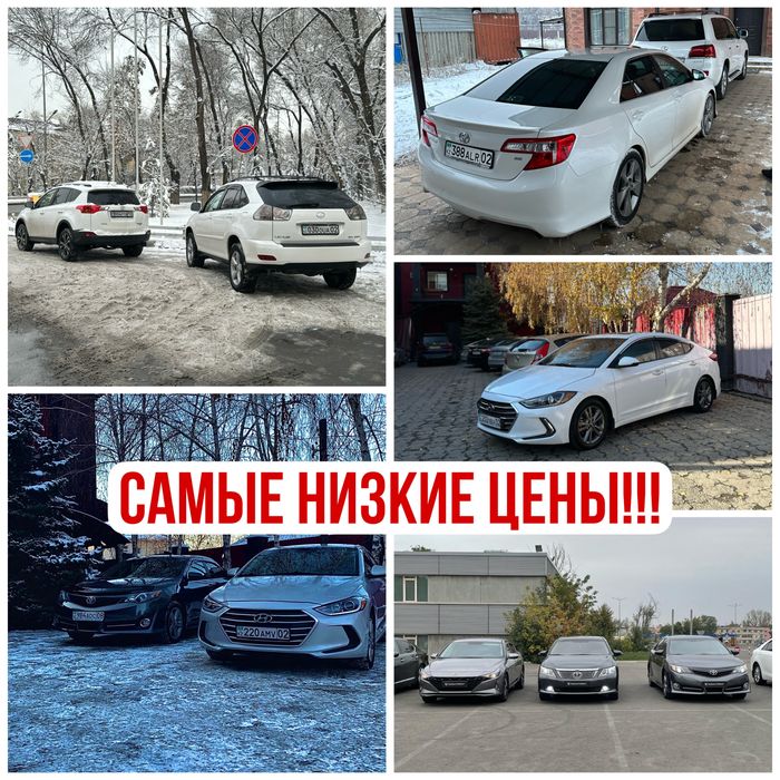 Аренда авто. Прокат авто