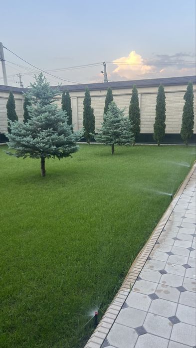 Газон и Автополив