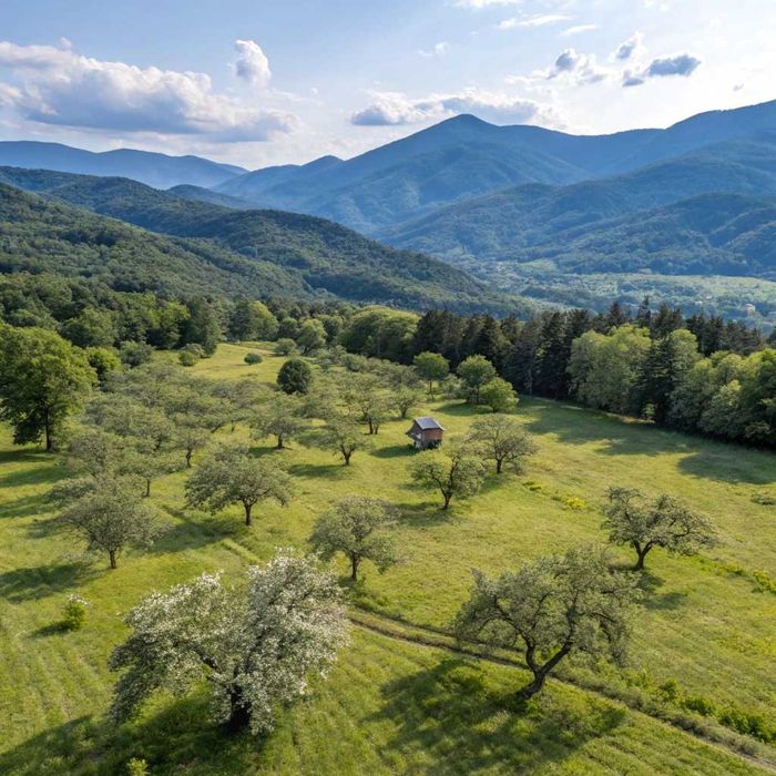 Жер, Земля, Участок В Бельбулаке