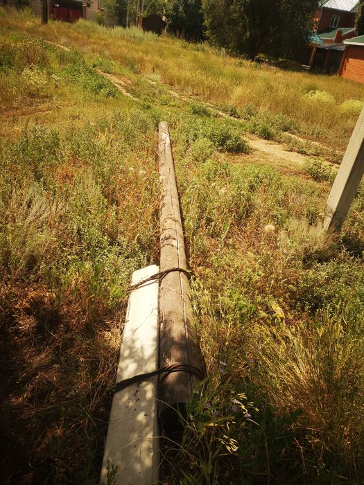 Продам  бревна    .