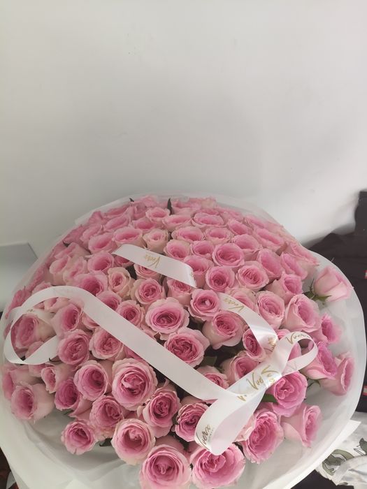 Роза Розывыи 160