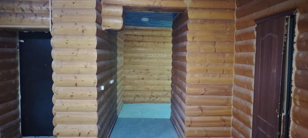 Банядан шыққан ағаштар сатылады