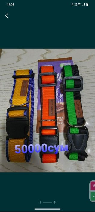 Ошейники и шлейки для собак