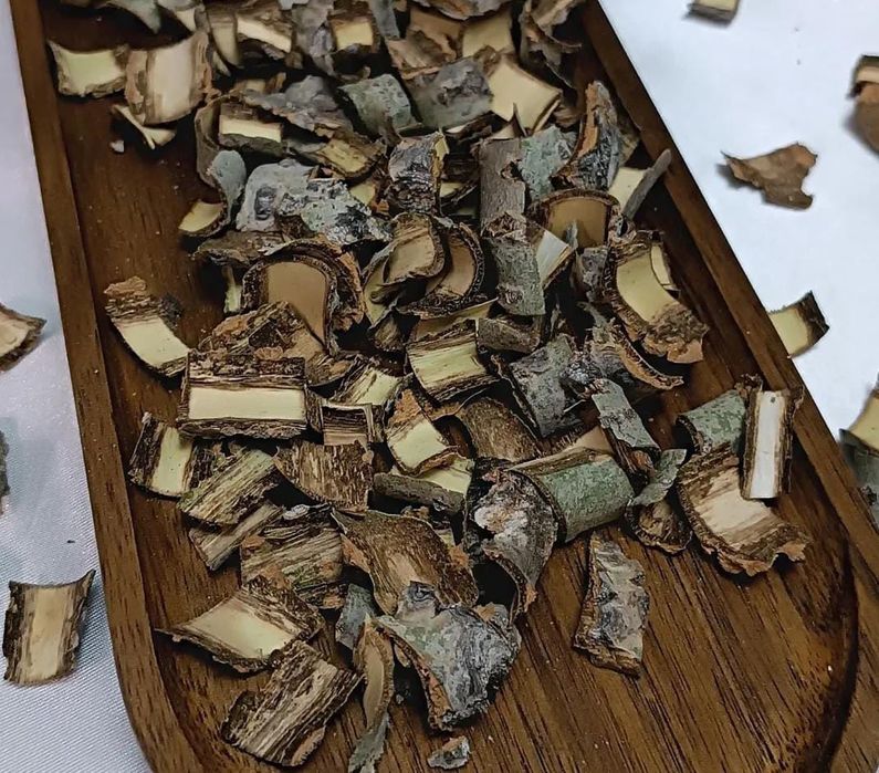 Кора осины из леса