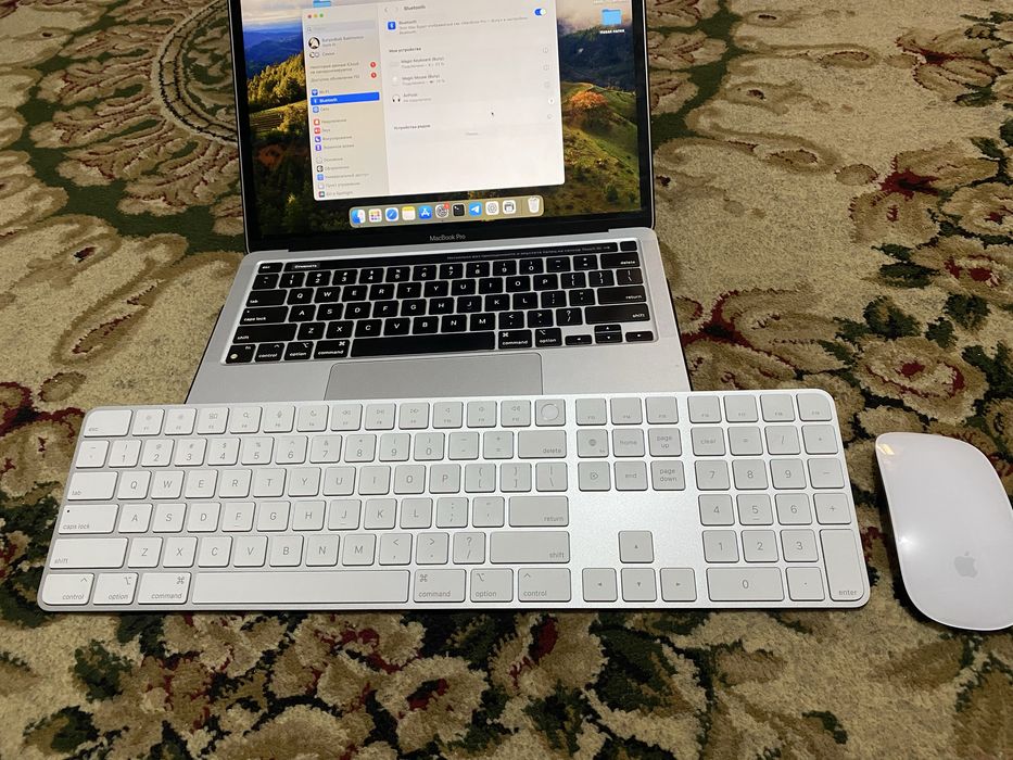 Apple Magic Mouse with Touch id and Magic Mouse