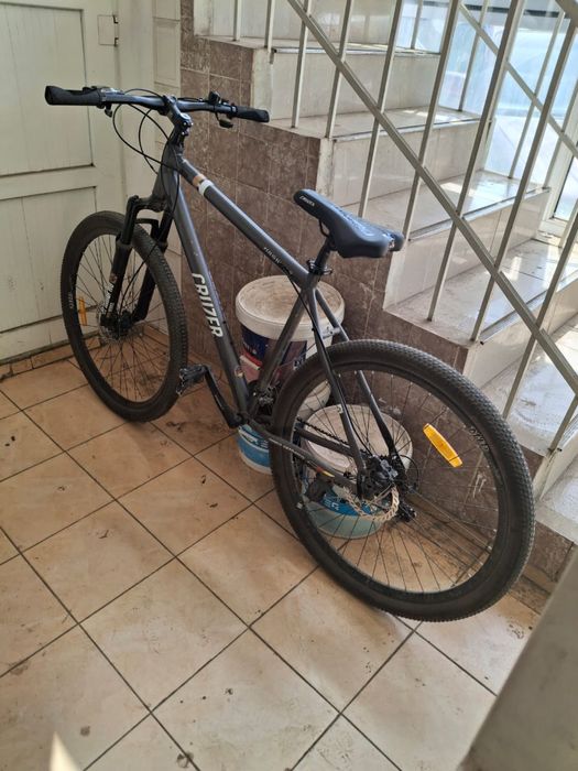 Велосипед Cruzer Magnum 29