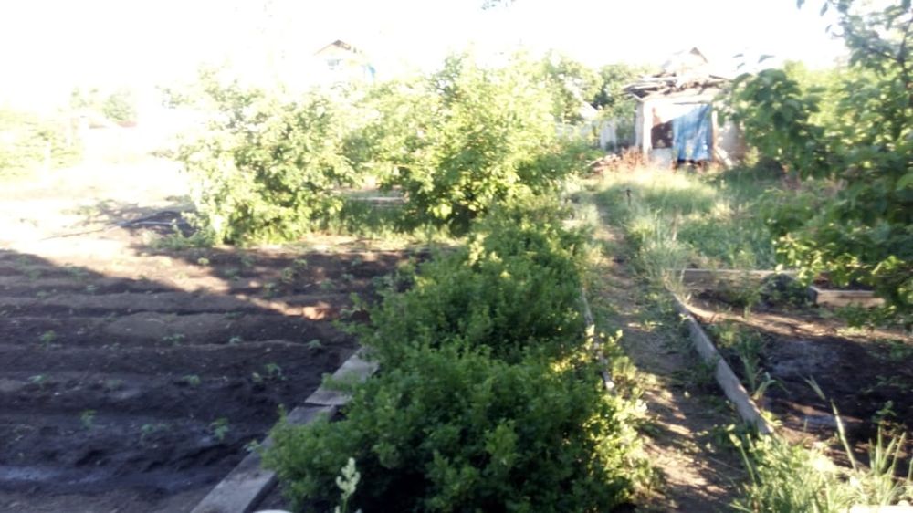 Дача, район федоровского водохранилища