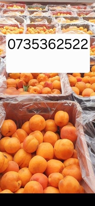 Caise parfumate și gustoase cu un gust excelent Fructe sănătoase pentru pălincă!