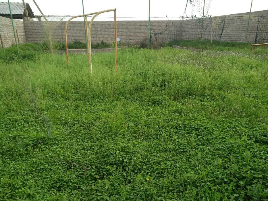 Срочно продается дача-уютный дом на 3 участках ТАШМОРЕ