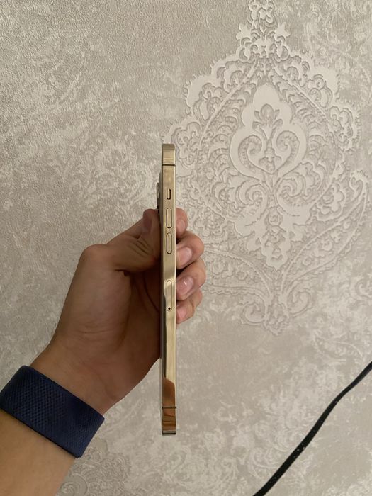 iphone 12 pro max холати идеал