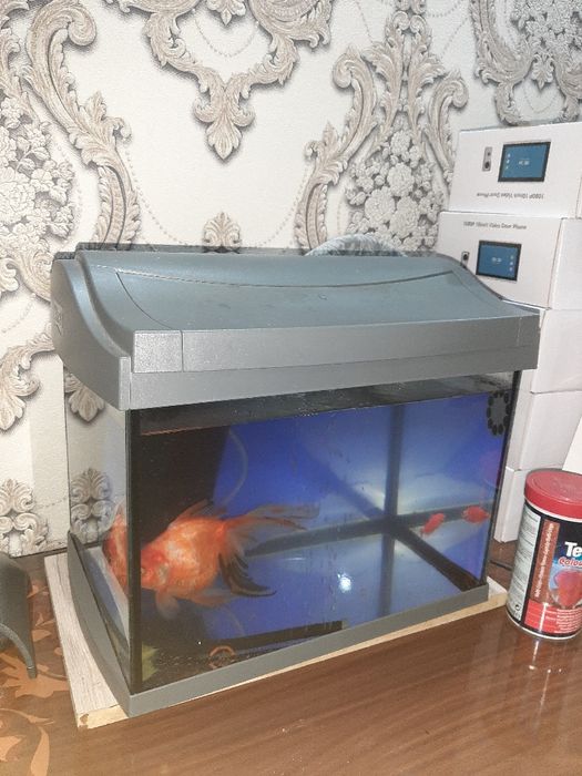 Okvaryum sotiladi 15 litr