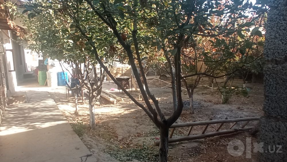 Yer sotilad kul tepa kocha
