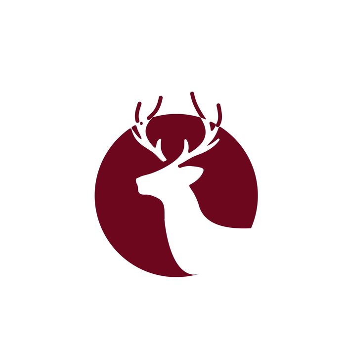 Logo 0 dan yaratish brending