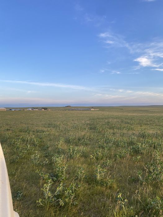 Фазенда кора қора сарай